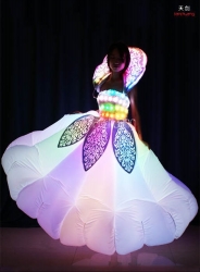 TC-0179 LED dress