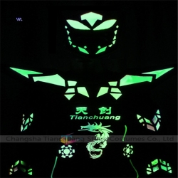 TC-0183 EVA panel full color LED fiber optic jumpusit