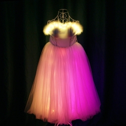 TC-0170 full color dress led costumes