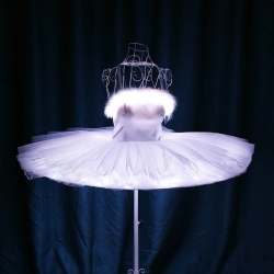 TC-0168 Led Ballet Tutu Skirt Dress