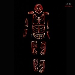 TC-0124 LED fiber optic  costumes